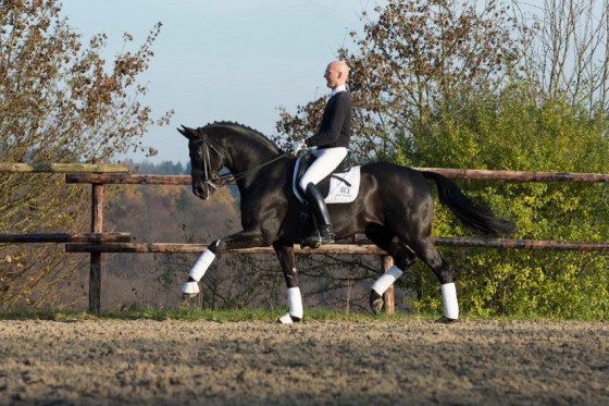 Leif Hamberger ar ērzeli Don Corazon (Don Frederico x Weltmeyer) /Foto no L.Hamberger personīgā arhīva/