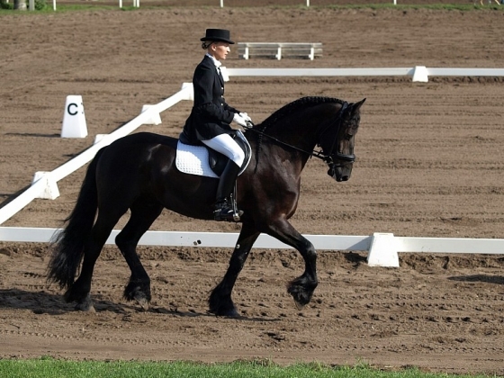 FEI World Dressage Challenge 2010