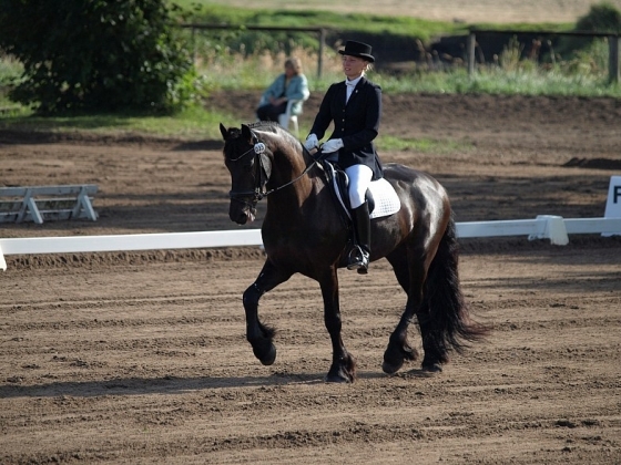 FEI World Dressage Challenge 2010