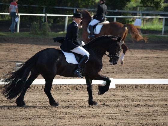 FEI World Dressage Challenge 2010