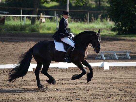 FEI World Dressage Challenge 2010