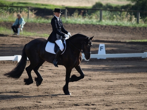 FEI World Dressage Challenge 2010