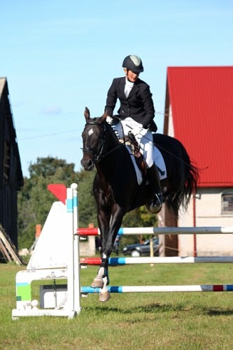 Agnese, Jaunzirgu divcīņa 2011