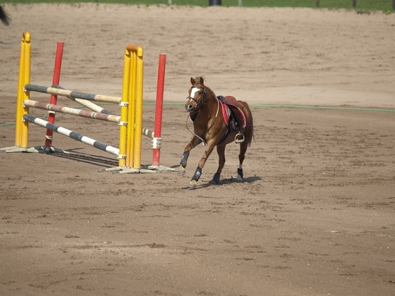 Maijiņa iesildās pirms 50 cm maršruta